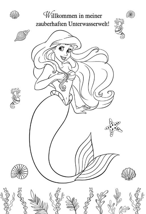 Produktbild: Disney Prinzessin: Arielle die Meerjungfrau - Zauberhafter Sticker- und Malspaß