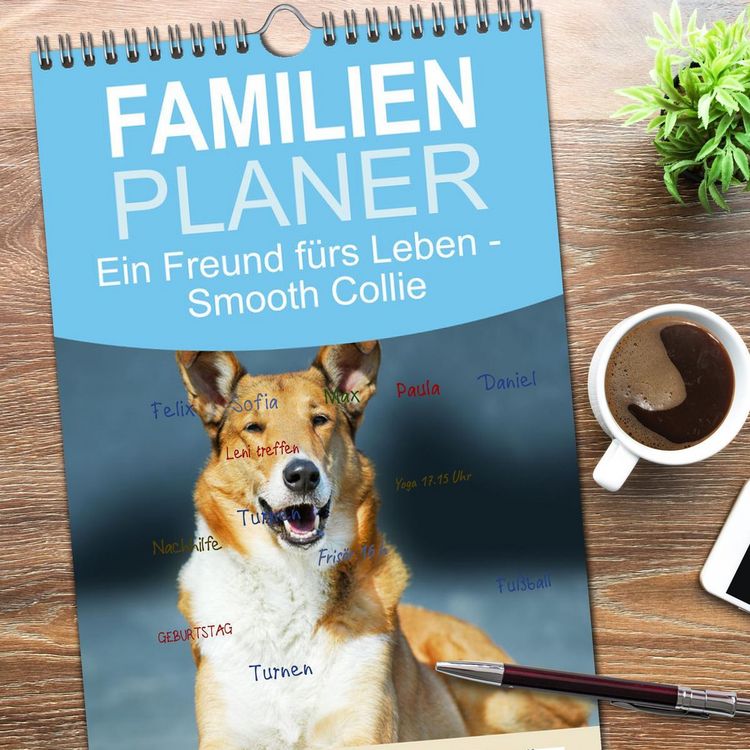 Produktbild: Familienplaner 2026 - Ein Freund f&uuml;rs Leben - Smooth Collie mit 5 Spalten (Wandkalender, 21 x 45 cm) CALVENDO