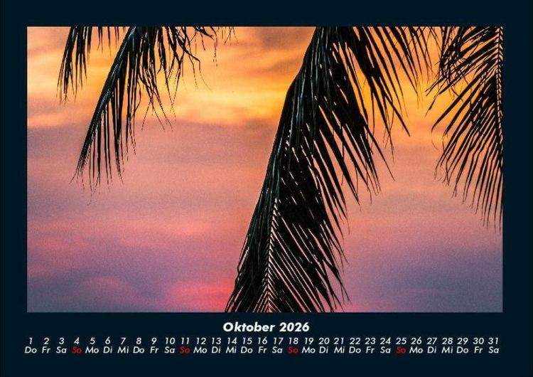 Produktbild: Palmentraum 2026 Fotokalender DIN A4