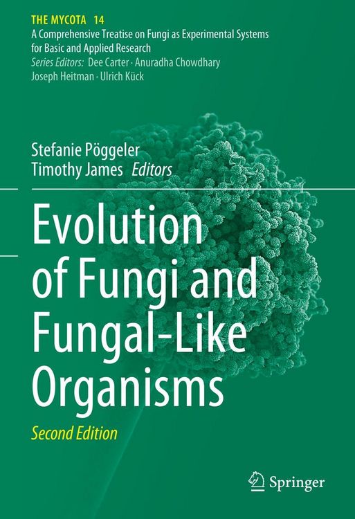 Produktbild: Evolution of Fungi and Fungal-Like Organisms