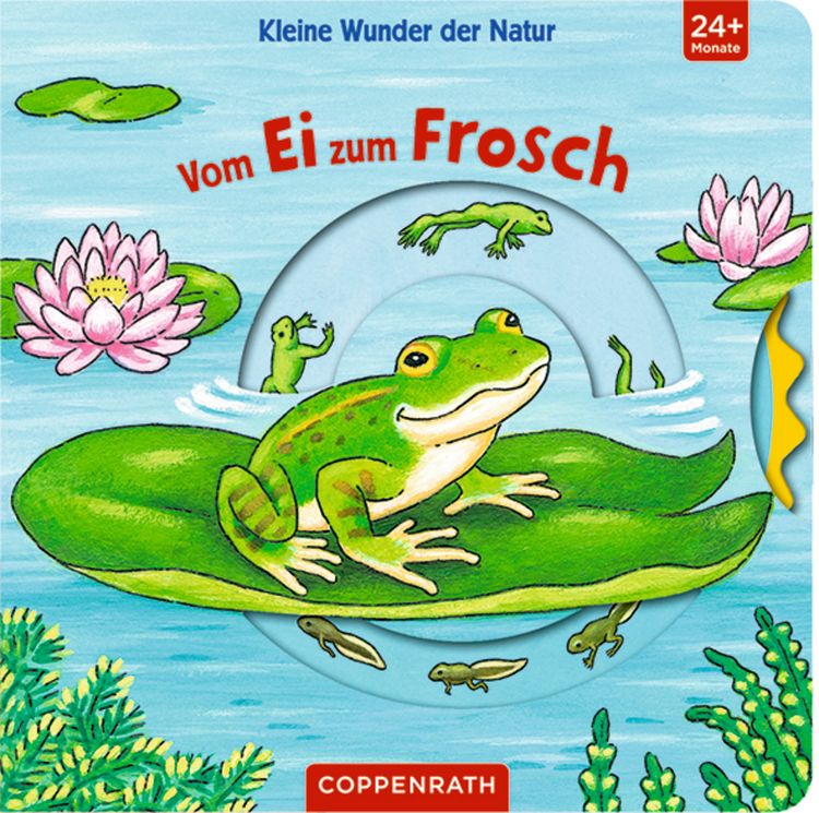 Produktbild: Kleine Wunder der Natur: Vom Ei zum Frosch