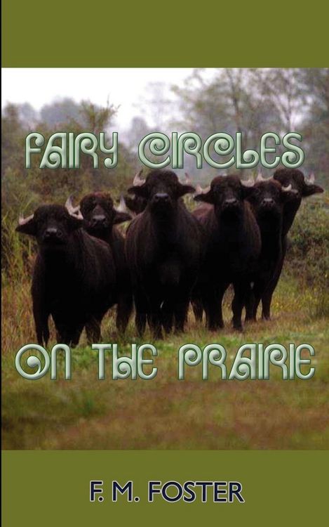 Produktbild: Fairy Circles on the Prairie