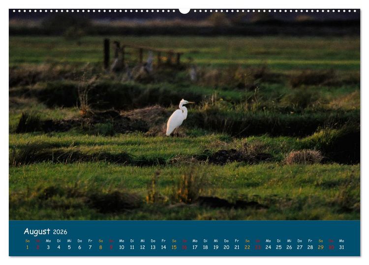 Produktbild: Naturschutzgebiet W&uuml;mme (hochwertiger Premium Wandkalender 2026 DIN A2 quer), Kunstdruck in Hochglanz