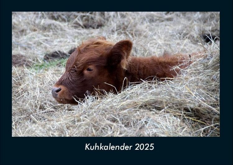 Produktbild: Kuhkalender 2025 Fotokalender DIN A4