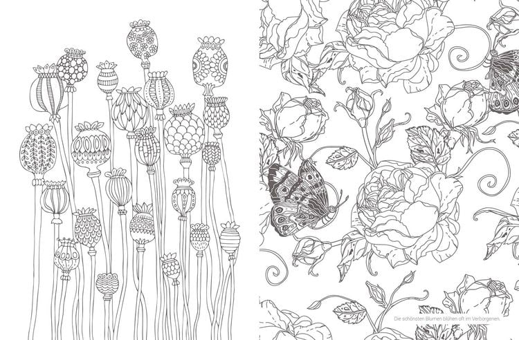 Produktbild: Inspiration Blumenwiese