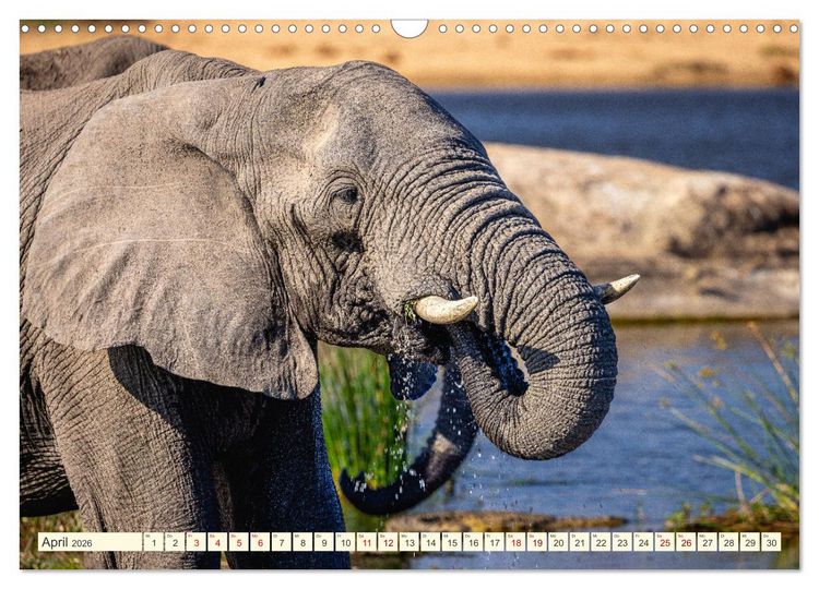 Produktbild: S&uuml;dafrika - Die Welt in einem Land (Wandkalender 2026 DIN A3 quer), CALVENDO Monatskalender