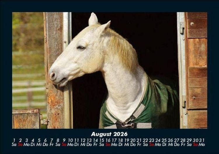 Produktbild: Die Welt der Pferde 2026 Fotokalender DIN A5