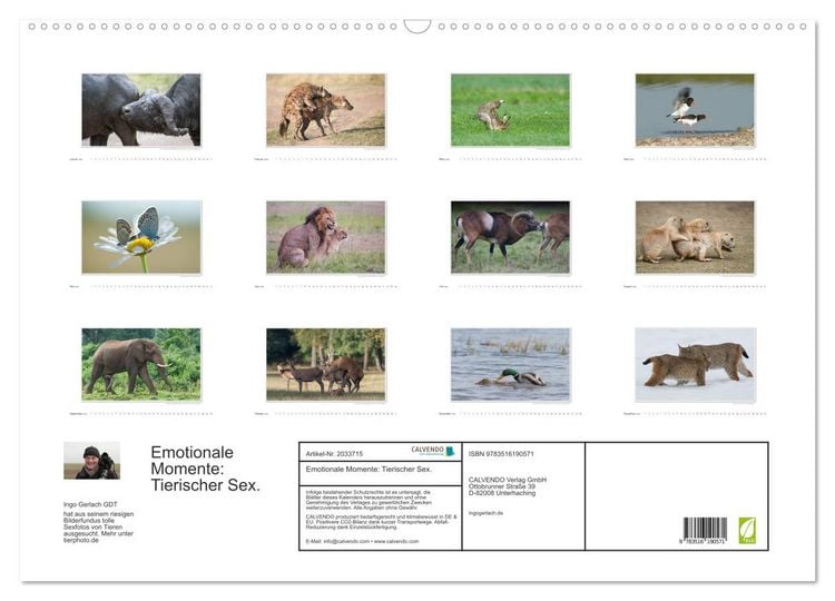 Produktbild: Emotionale Momente: Tierischer Sex. (Wandkalender 2026 DIN A2 quer), CALVENDO Monatskalender
