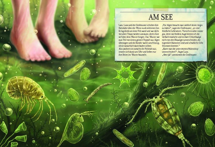 Produktbild: Verborgene Welt des Mikrokosmos