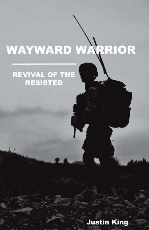 Produktbild: Wayward Warrior
