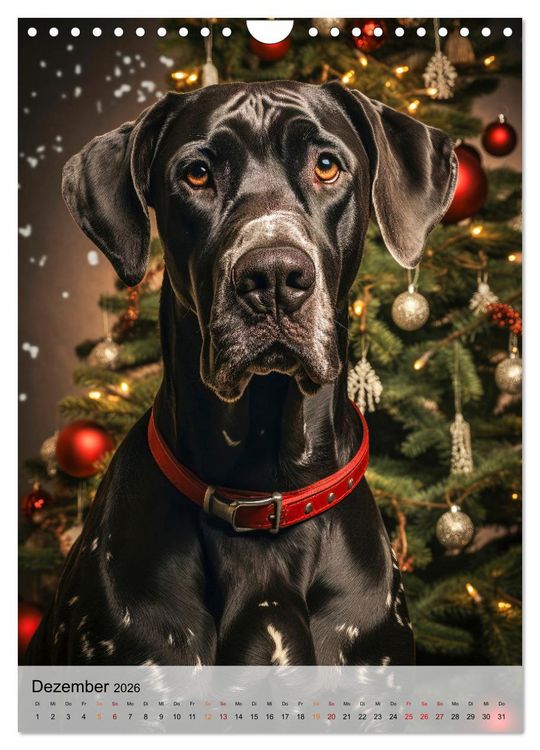 Produktbild: Deutsche Dogge - freundlicher Riese (Wandkalender 2026 DIN A4 hoch), CALVENDO Monatskalender