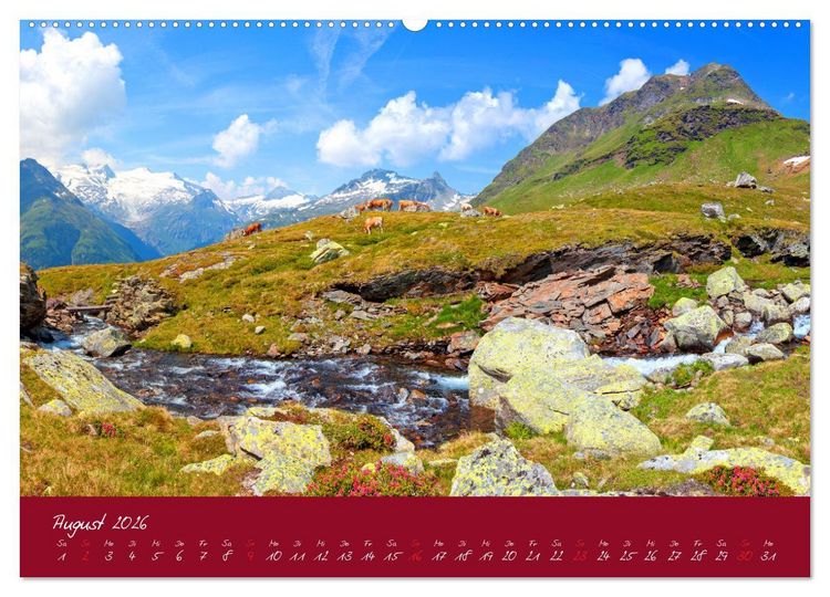 Produktbild: Friedliche K&uuml;he (hochwertiger Premium Wandkalender 2026 DIN A2 quer), Kunstdruck in Hochglanz