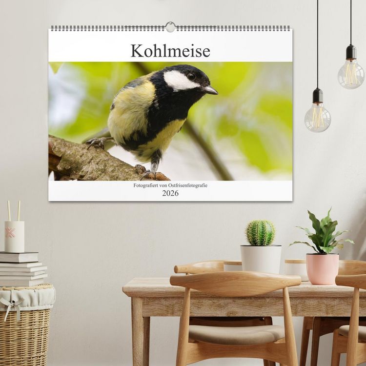 Produktbild: Kohlmeise - Fotografiert von Ostfriesenfotografie (Wandkalender 2026 DIN A2 quer), CALVENDO Monatskalender