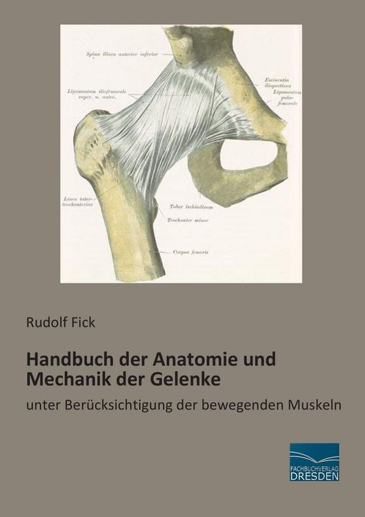 Produktbild: Handbuch der Anatomie und Mechanik der Gelenke