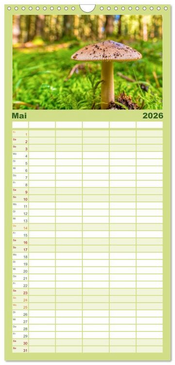Produktbild: Familienplaner 2026 - Vielfalt am Waldboden mit 5 Spalten (Wandkalender, 21 x 45 cm) CALVENDO
