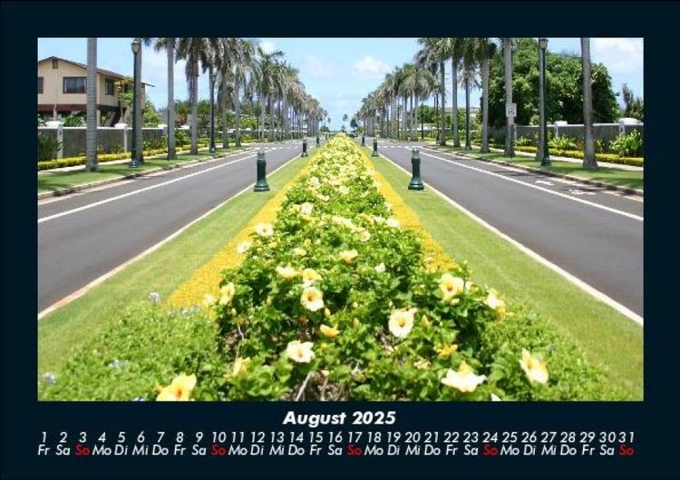 Produktbild: Blumenkalender 2025 Fotokalender DIN A5