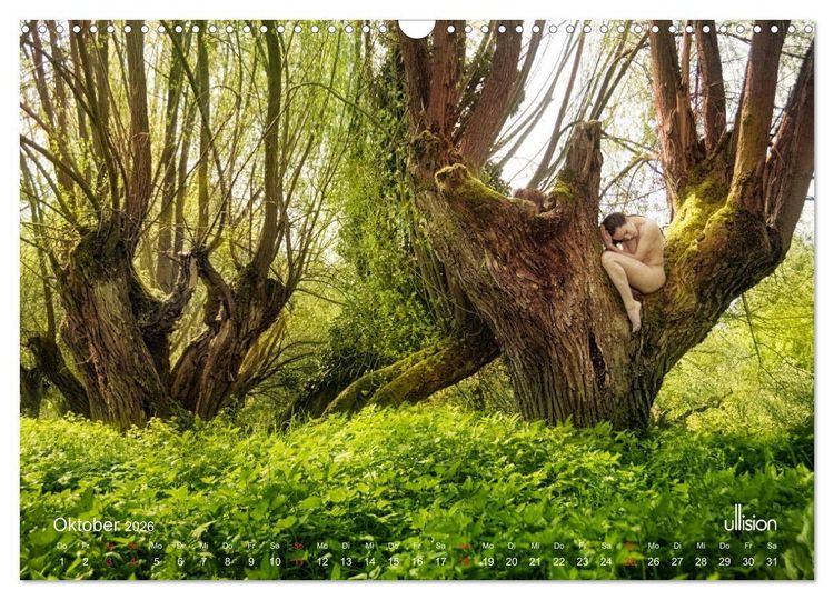 Produktbild: Lieblingsb&auml;ume - eins mit der Natur (Wandkalender 2026 DIN A3 quer), CALVENDO Monatskalender