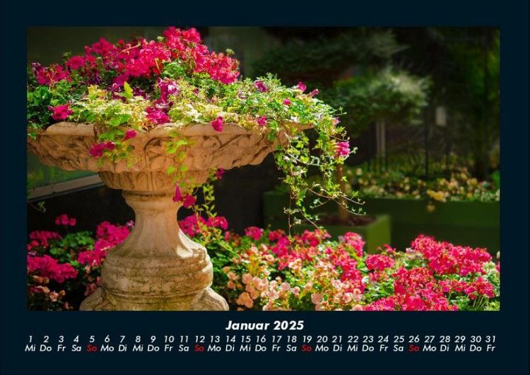 Produktbild: Blumentr&auml;ume 2025 Fotokalender DIN A4