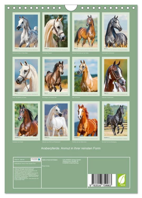 Produktbild: Araberpferde. Anmut in ihrer reinsten Form (Wandkalender 2027 DIN A4 hoch), CALVENDO Monatskalender