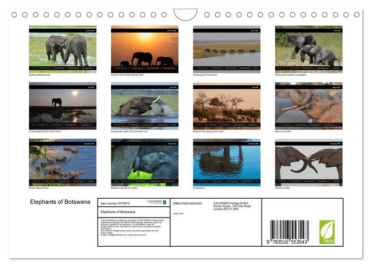 Produktbild: Elephants of Botswana (Wall Calendar 2026 DIN A4 landscape), CALVENDO 12 Month Wall Calendar
