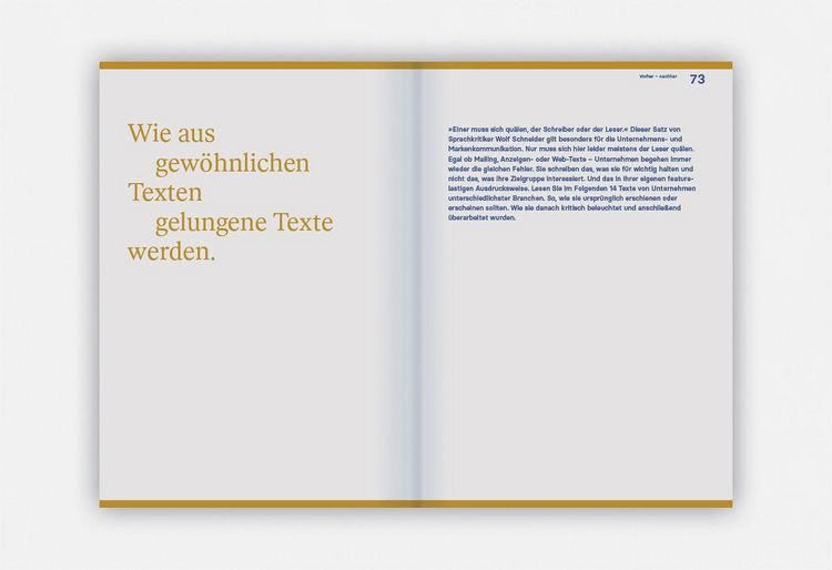 Produktbild: Corporate Language das Praxisbuch