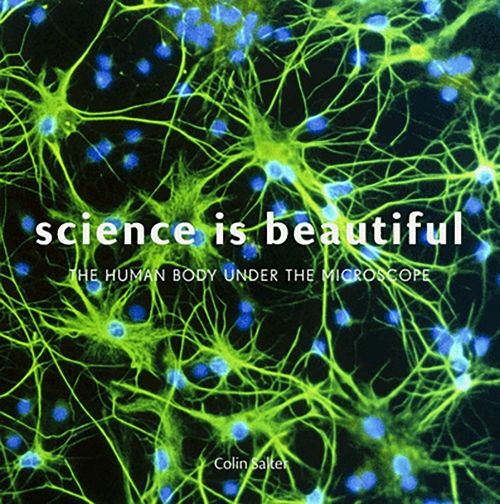 Produktbild: Science is Beautiful: The Human Body