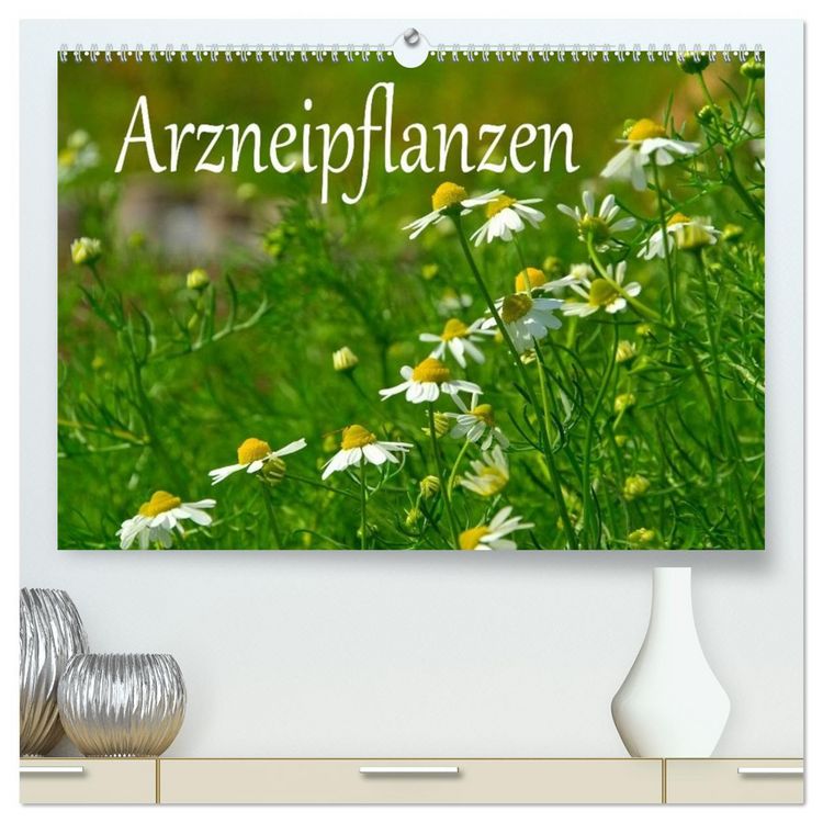 Produktbild: Arzneipflanzen (hochwertiger Premium Wandkalender 2026 DIN A2 quer), Kunstdruck in Hochglanz