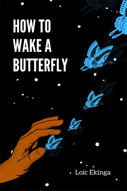 Produktbild: How To Wake a Butterfly