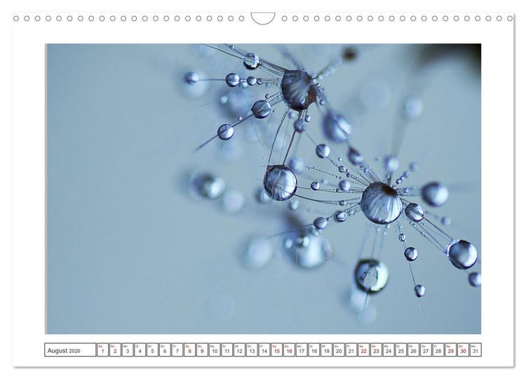 Produktbild: Zauberhafte Pusteblumen (Wandkalender 2026 DIN A3 quer), CALVENDO Monatskalender