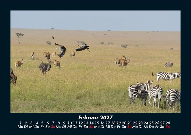 Produktbild: Der Tierkalender 2027 Fotokalender DIN A5