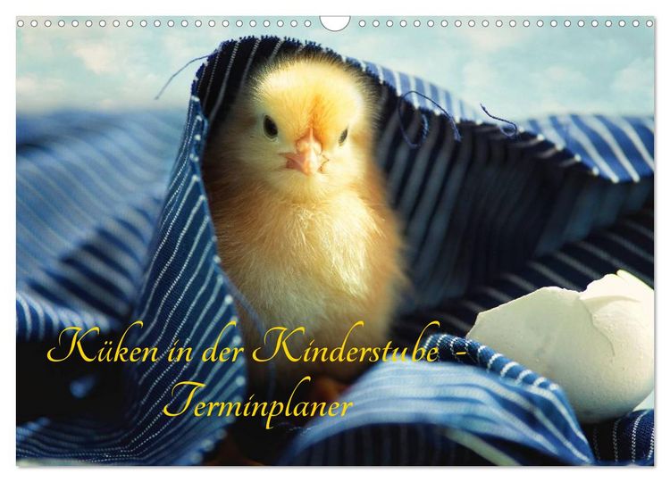 Produktbild: K&uuml;ken in der Kinderstube Terminplaner (Wandkalender 2026 DIN A3 quer), CALVENDO Monatskalender