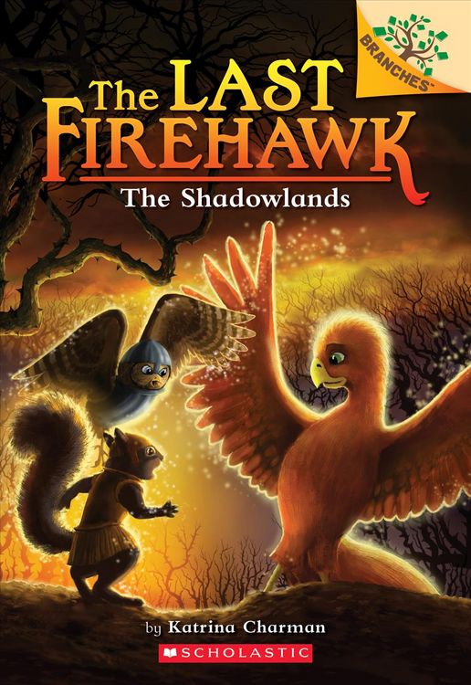 Produktbild: The Shadowlands: A Branches Book (the Last Firehawk #5)