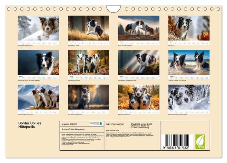 Produktbild: Border Collies H&uuml;teprofis (Wandkalender 2027 DIN A4 quer), CALVENDO Monatskalender