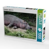 Produktbild: CALVENDO Puzzle Flusspferde &ndash; Mittagsruhe 1000 Teile Lege-Gr&ouml;&szlig;e 64 x 48 cm Foto-Puzzle Bild von Michael Herzog