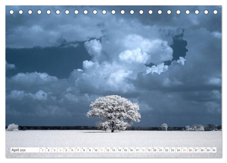 Produktbild: Zauberhafte Infrarot-Fotografie (Tischkalender 2026 DIN A5 quer), CALVENDO Monatskalender