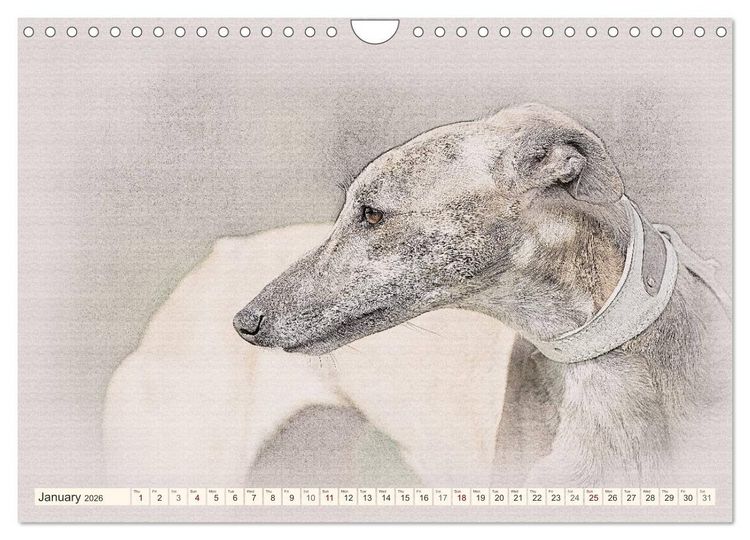 Produktbild: Whippets 2026 (Wall Calendar 2026 DIN A4 landscape), CALVENDO 12 Month Wall Calendar