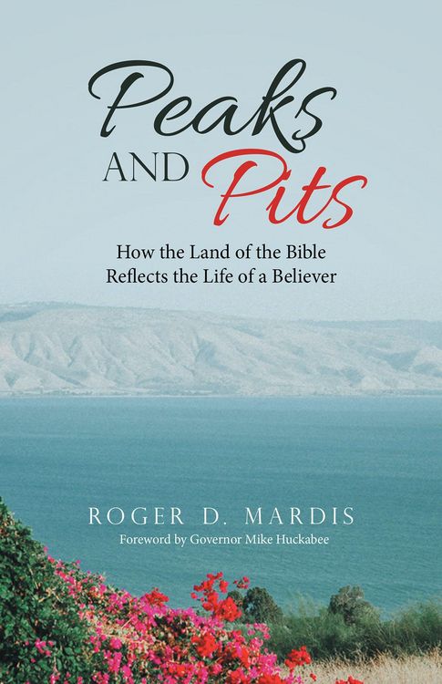 Produktbild: Peaks and Pits