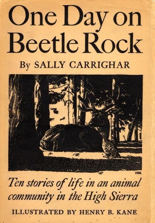 Produktbild: One Day On Beetle Rock
