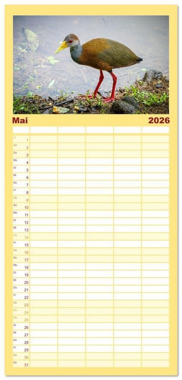 Produktbild: Familienplaner 2026 - Phantastische Vogelwelt Costa Rica mit 5 Spalten (Wandkalender, 21 x 45 cm) CALVENDO