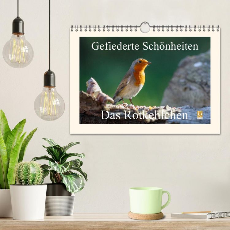 Produktbild: Gefiederte Sch&ouml;nheiten - Das Rotkehlchen (Wandkalender 2026 DIN A4 quer), CALVENDO Monatskalender