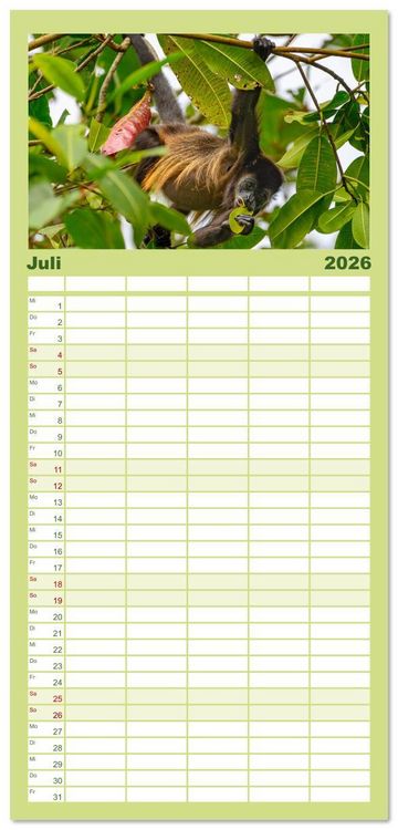 Produktbild: Familienplaner 2026 - Costa Rica - Naturparadies zwischen Karibik und Pazifik mit 5 Spalten (Wandkalender, 21 x 45 cm) CALVENDO