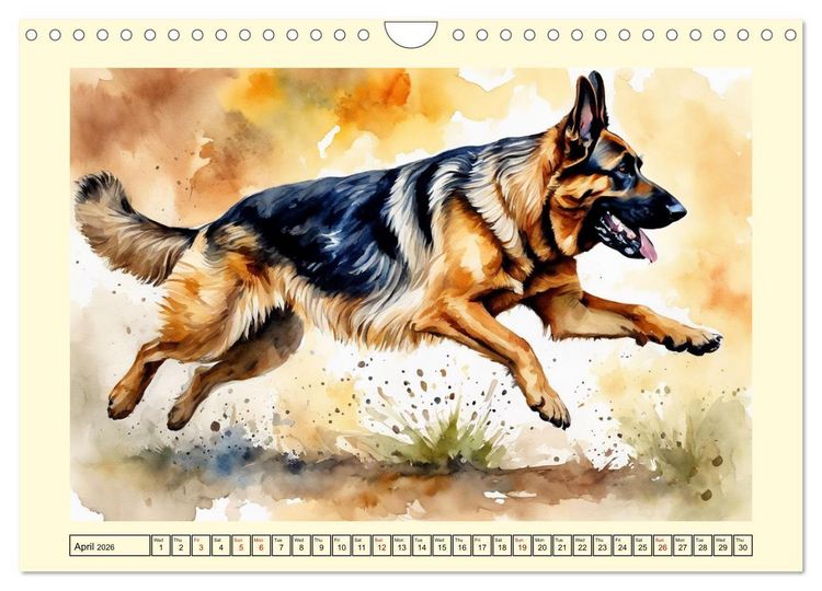 Produktbild: German Shepherds - classics around the globe (Wall Calendar 2026 DIN A4 landscape), CALVENDO 12 Month Wall Calendar