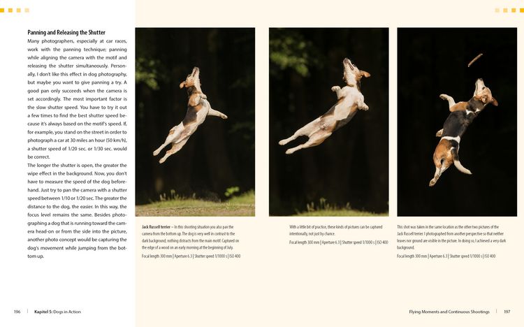 Produktbild: Dog Photography - Shooting with Bow "Wow" Effect
