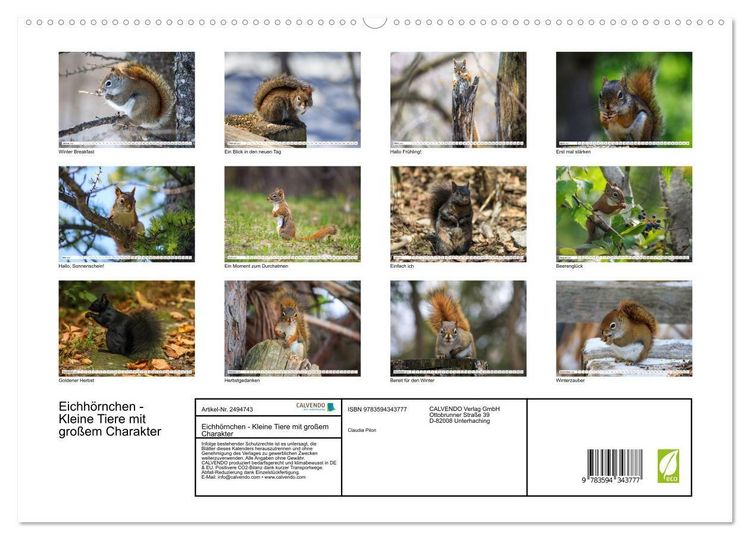 Produktbild: Eichh&ouml;rnchen - Kleine Tiere mit gro&szlig;em Charakter (hochwertiger Premium Wandkalender 2027 DIN A2 quer), Kunstdruck in Hochglanz