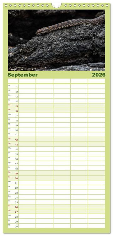 Produktbild: Familienplaner 2026 - Die faszinierende Tierwelt der Galapagos-Inseln mit 5 Spalten (Wandkalender, 21 x 45 cm) CALVENDO