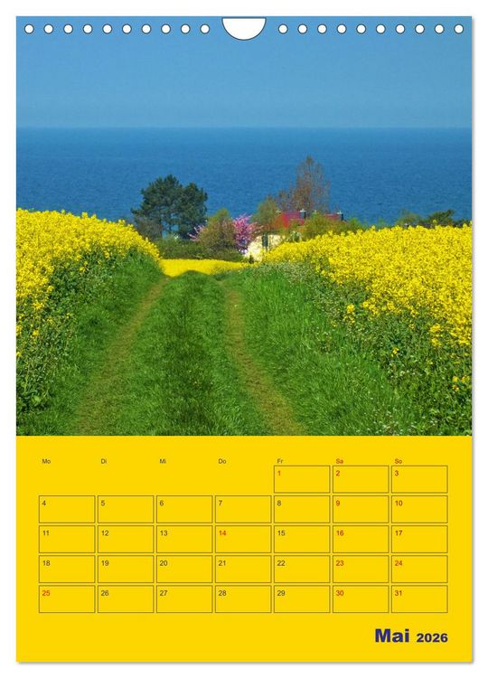 Produktbild: Sehnsucht nach Meer - Ostsee (Wandkalender 2026 DIN A4 hoch), CALVENDO Monatskalender