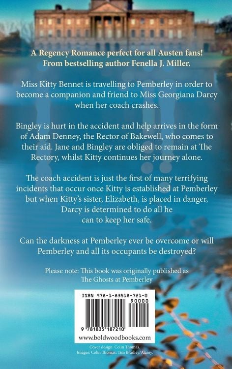 Produktbild: Trouble at Pemberley