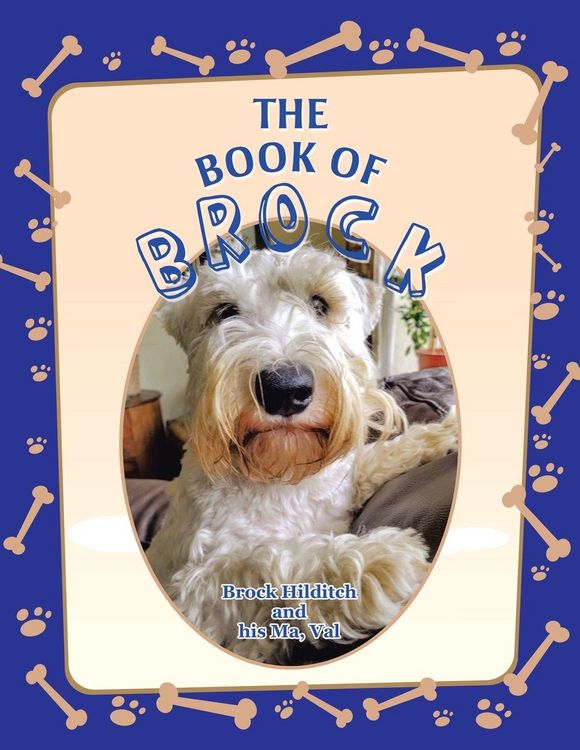 Produktbild: The Book of Brock