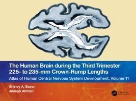Produktbild: Altman, J: Human Brain during the Third Trimester 225- to 23