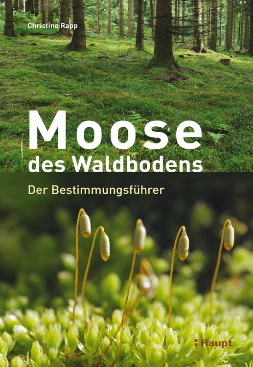 Produktbild: Moose des Waldbodens